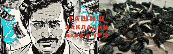 шишки Волоколамск