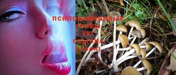 молекула духа Верхнеуральск