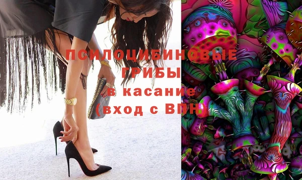 шишки Волоколамск