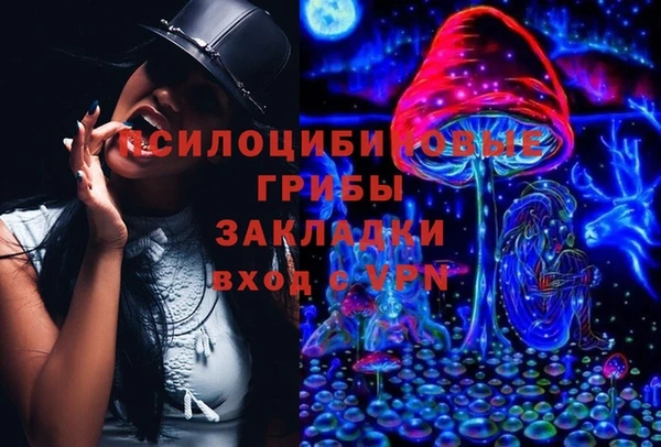 дживик Приозерск